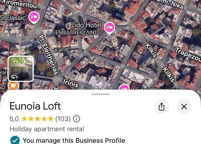 Апартаменты Eunoia Luxury Loft *