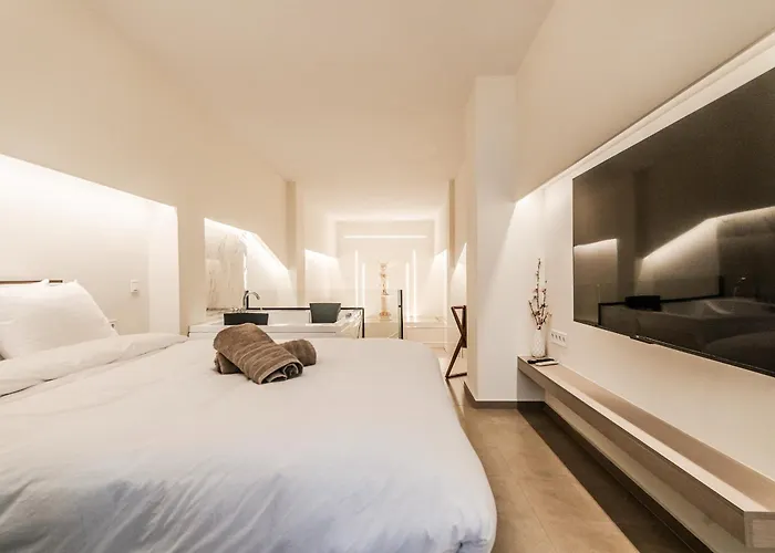 Eunoia Luxury Loft Катерини